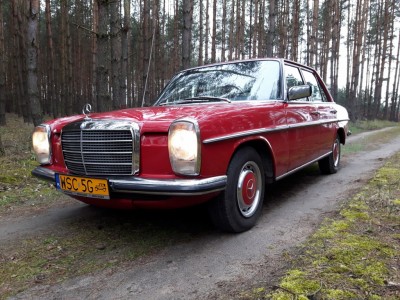 W115 240D 1.jpg