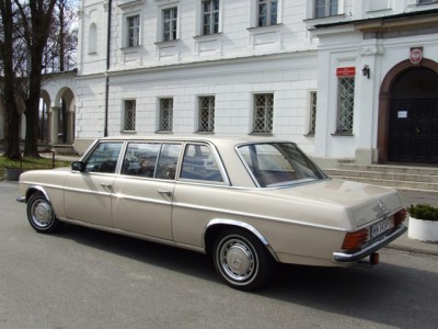 Mercedes w114 lang 3.JPG