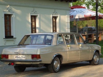 Mercedes w114 lang 8.JPG