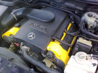 20100619_004.jpg