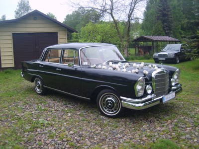 S8001515.JPG