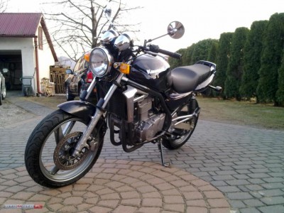 M3083183_5.jpg