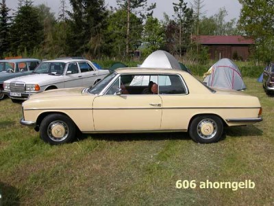 606-ahorngelb.jpg