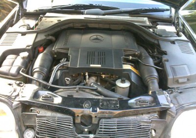 20100714050.jpg