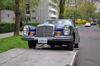small DSC_3317.jpg