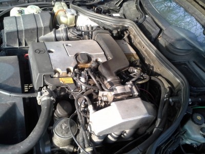 20150427_173656.jpg