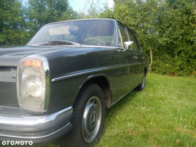 879853592_4_1080x720_mercedes-w114-250-z-1971-osobowe.jpg