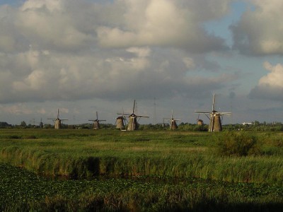 DSC00960.JPG