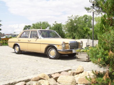 SSA40022.JPG