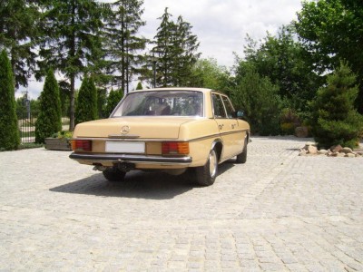SSA40020.JPG