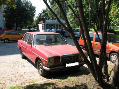 IMG_1241.JPG