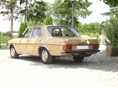 SSA40029.JPG