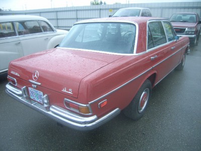 12569350_4X.JPG
