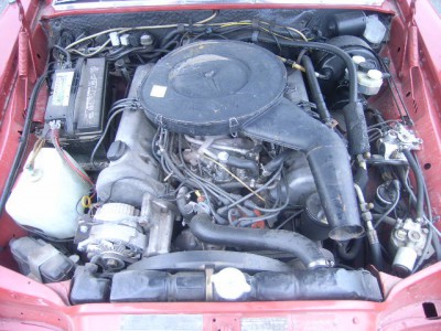 12569350_7X.JPG