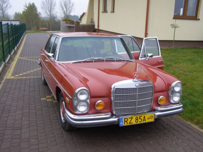 PA190136.JPG