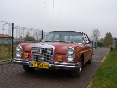 PA190142.JPG
