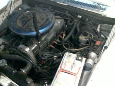 20101024122.jpg