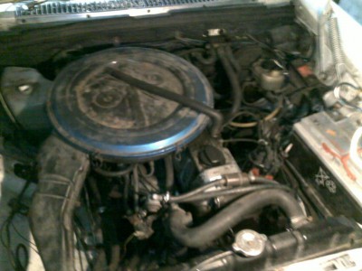 20101024123.jpg