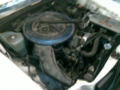 20101024124.jpg