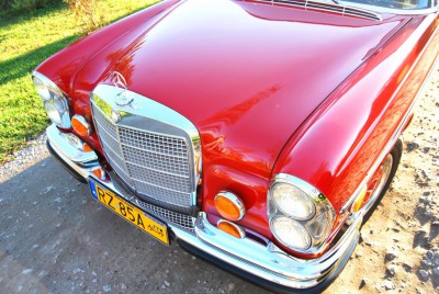 DSC_0975.JPG