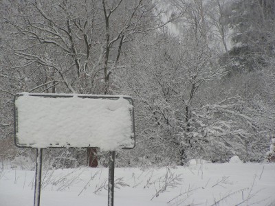 PICT0032333.jpg