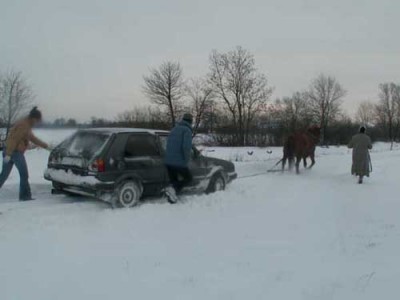 z7.jpg