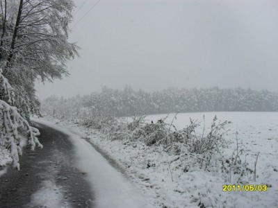 SDC18016.JPG