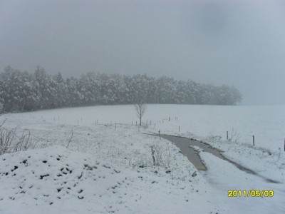 SDC18017.jpg