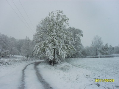 SDC18018.jpg