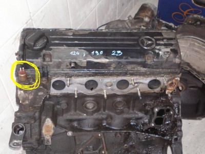 1055391264.jpg
