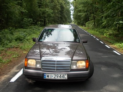 Obraz 297.jpg