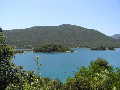 05.JPG