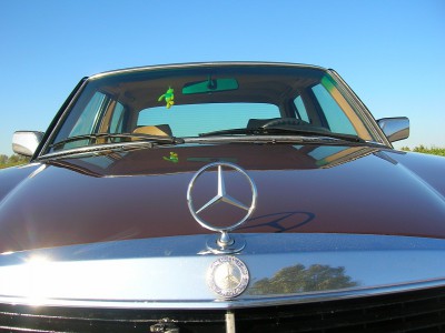 DSCN4620.JPG
