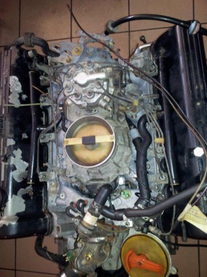 20111104_133201.jpg