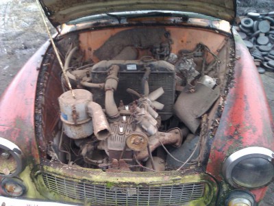 IMAG0397.jpg